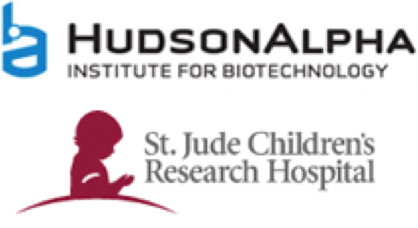 Logo Hudson